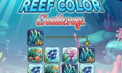 Reef Color Challenge