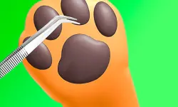 Paw Care