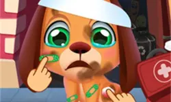 Stray Puppy Pet Care Game