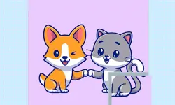 Cats and Dogs Puzzle