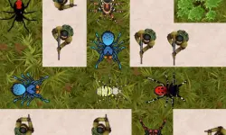 Spider Defense