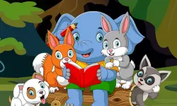Cute Animal Memory