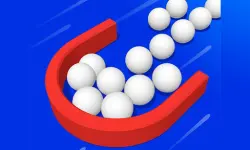 Ball Picker 3D