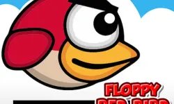 Floppy Red Bird