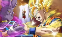 Dragon Ball Treasure Hunter
