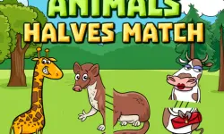 Animals Halves Match