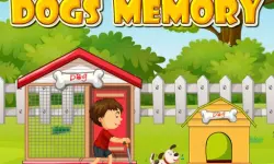 Dogs Memory
