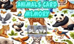 Animal cards memory