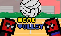 Head Volley