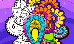 Color Fan Color By Number