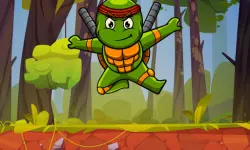 Turtle Ninja