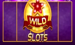 Wild Slot
