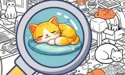 Find the Kitten: Spot the Cat
