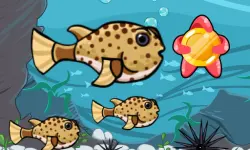 Run Fish Run