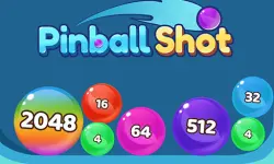 Pinball Shot
