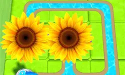 Blossom Paradise