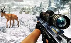 Sniper Hunting Jungle 2022