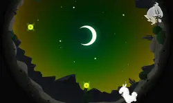 Alpaca Run
