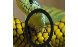 image Wildlife Animal Trivia:Test Your Knowledge!