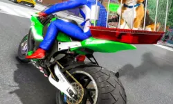 Motorcycle Pet Delivery