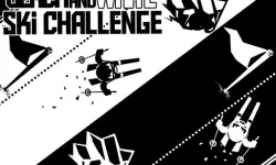 Black & white ski challenge