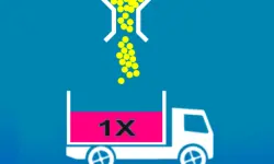 Full Ball Puzzle