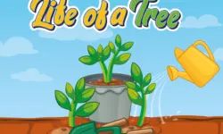 Life of a Tree