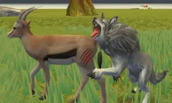 Wolf Life Simulator