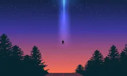 Alien Wonderland Hidden