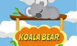 Koala Bear