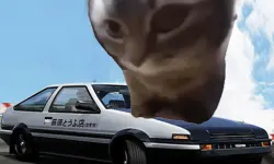 Car Stunt Chipi Chipi Chapa Chapa Cat