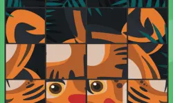 Puzzle Animal Rotate