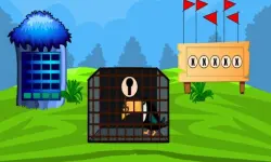 Rescue The Toucan