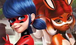 Ladybug Jigsaw