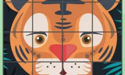 Puzzle Rotate Animals