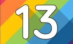 13 The game