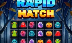 Rapid Match