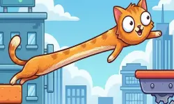 CatStretch