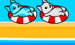 Aqua Dogy