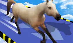 Animal Impossible Track Rush
