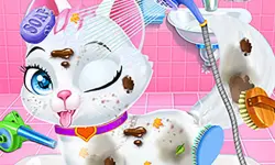 Baby Animals Pet Vet Care