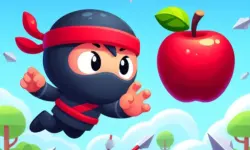 Flip Ninja