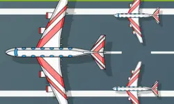 Flight Survival