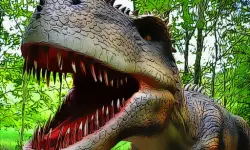 Dinosaurs Scary Teeth Puzzle