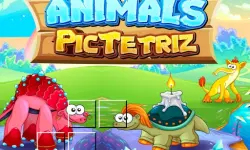 Animals Pic Tetriz