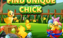 Find Unique Chick
