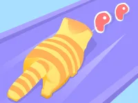 Cat Evolution
