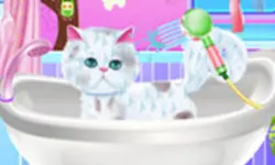 Pet Groomer