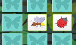 Kids Memory - Insects