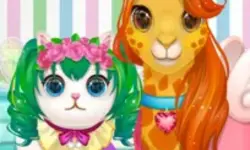 Funy Pet Haircut